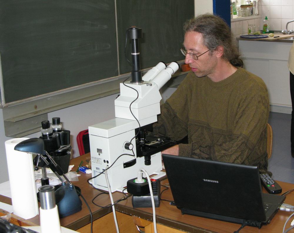 Andreas Gminder beim Mikroskopieren